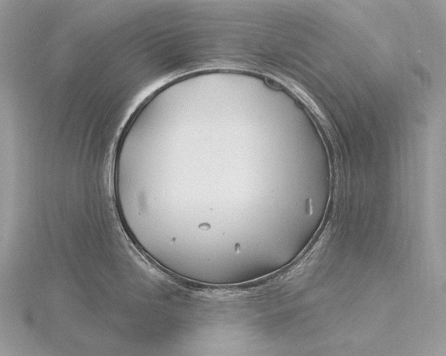 X0000115831246200912041641