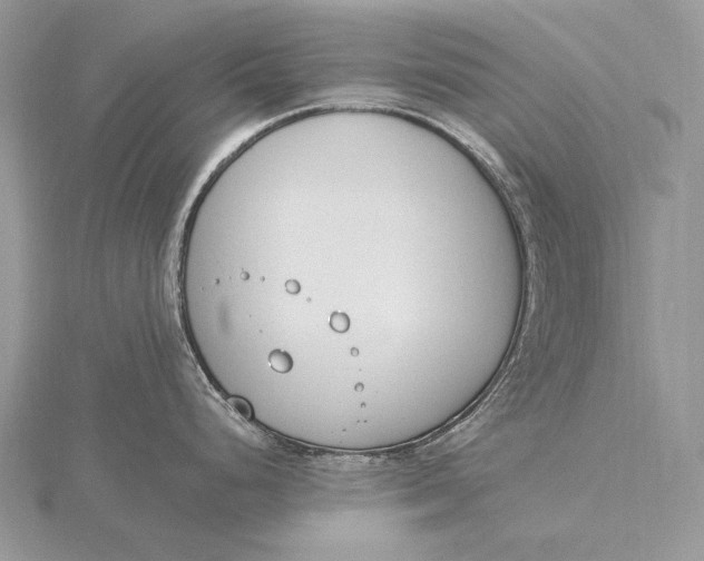 X0000115831248200912041641