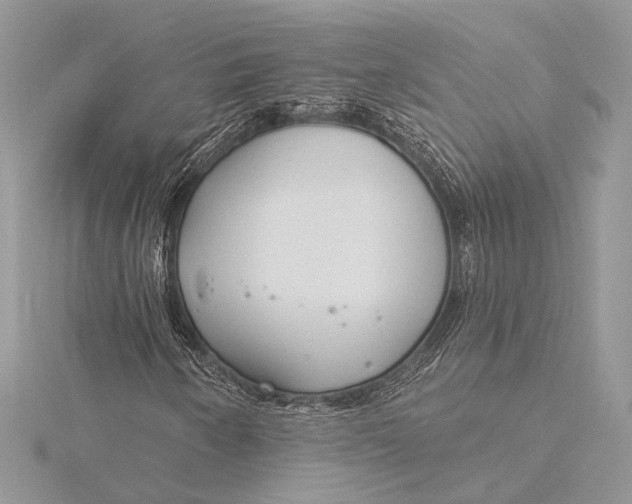 X0000115831250200912041641