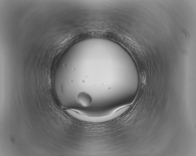 X0000115831252200912041640