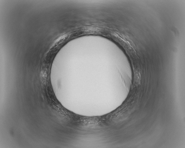 X0000115831254200912041640