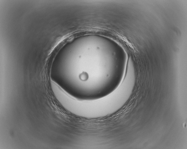 X0000115831256200912041640