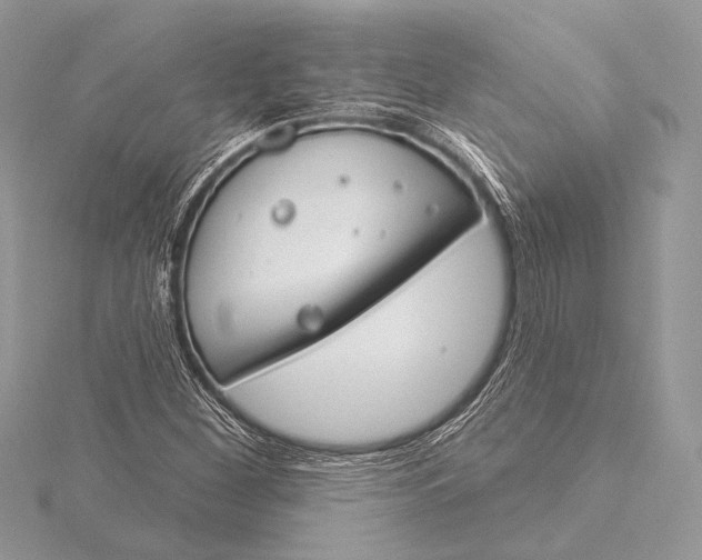 X0000115831260200912041640