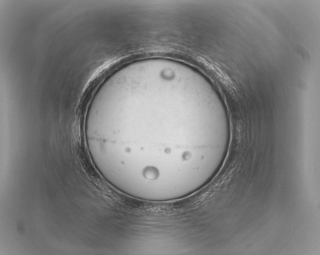 X0000115831262200912041640