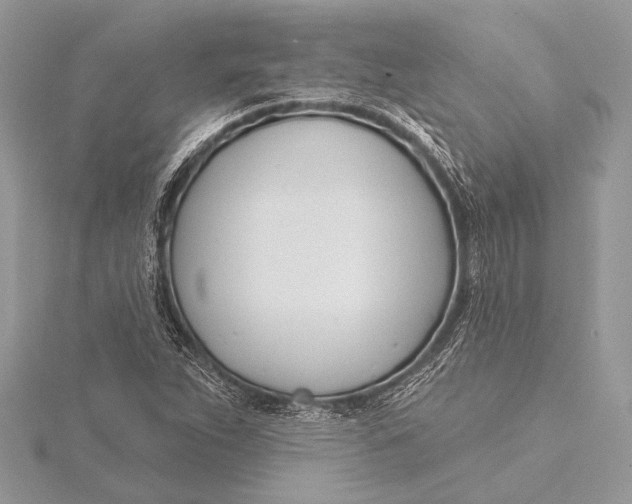 X0000115831263200912041640