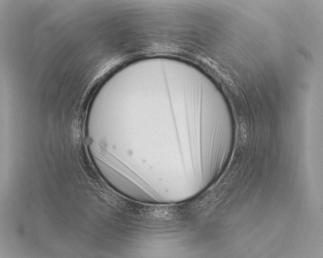 X0000115831266200912041640