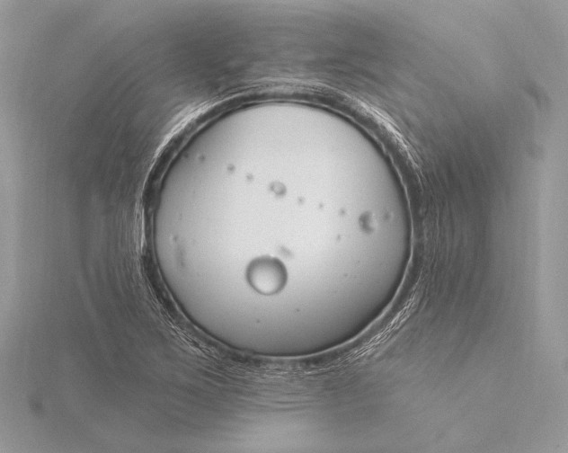 X0000115831267200912041640