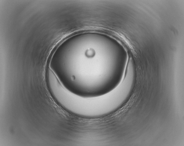 X0000115831268200912041640