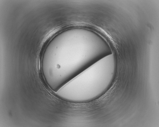 X0000115831269200912041640