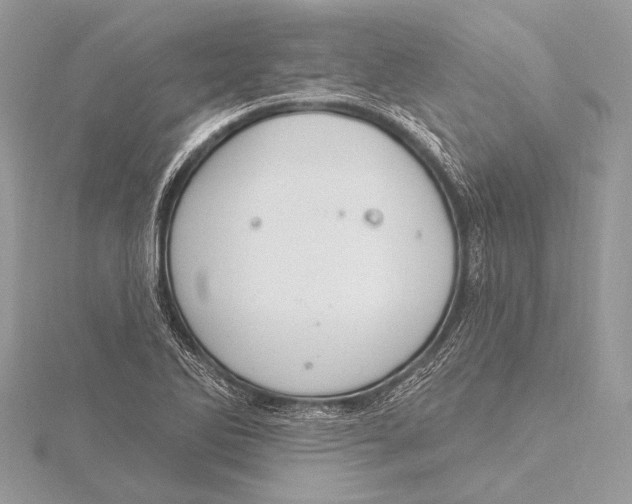 X0000115831270200912041640