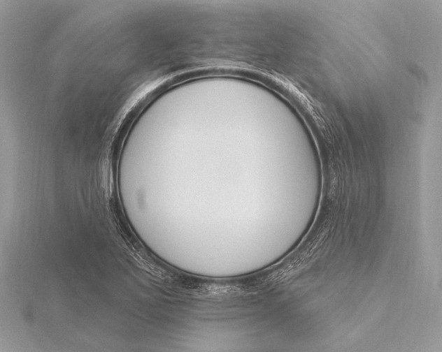 X0000115831271200912041640