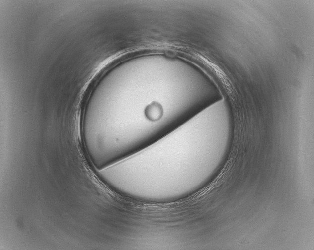 X0000115831272200912041640