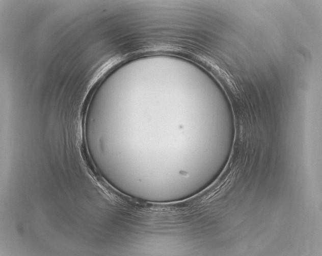 X0000115831274200912041640