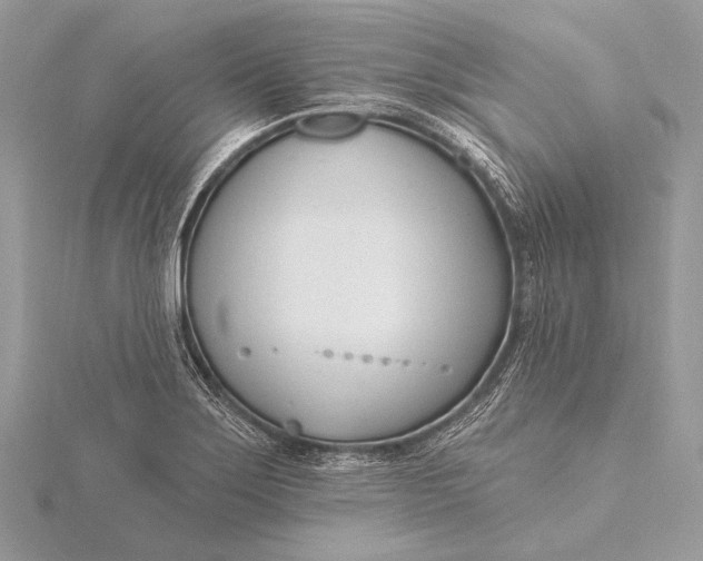 X0000115831275200912041640