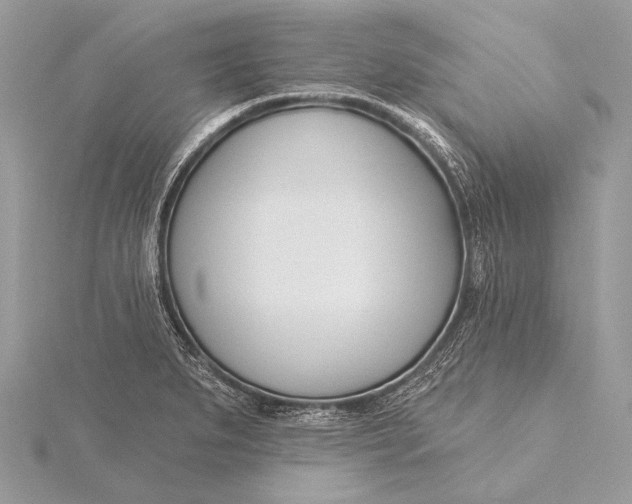 X0000115831279200912041640