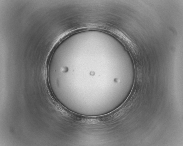 X0000115831280200912041640