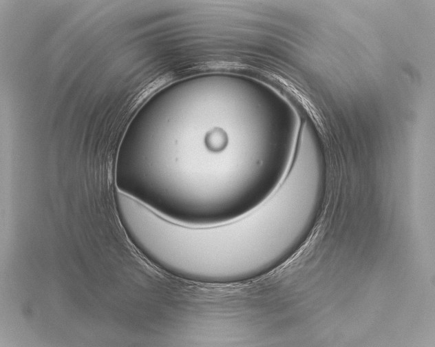 X0000115831281200912041640