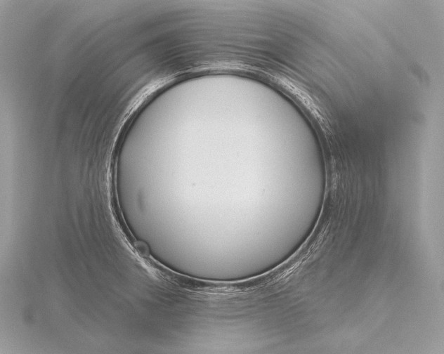 X0000115831282200912041640