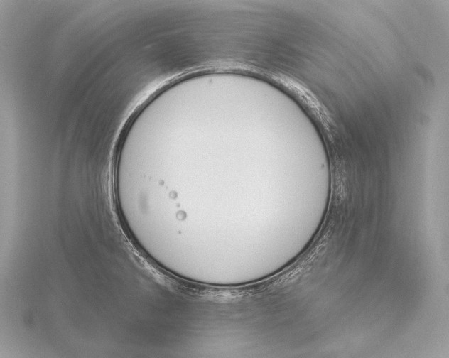 X0000115831286200912041640