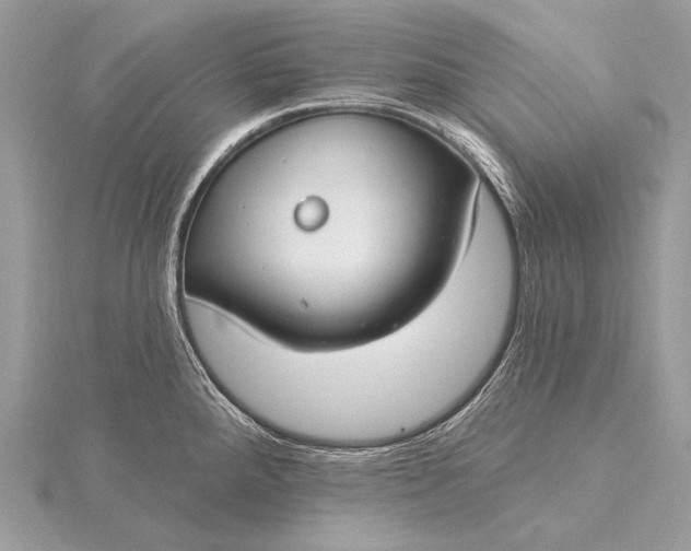 X0000115831288200912041640