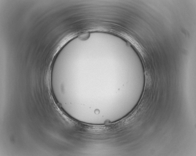 X0000115831290200912041640