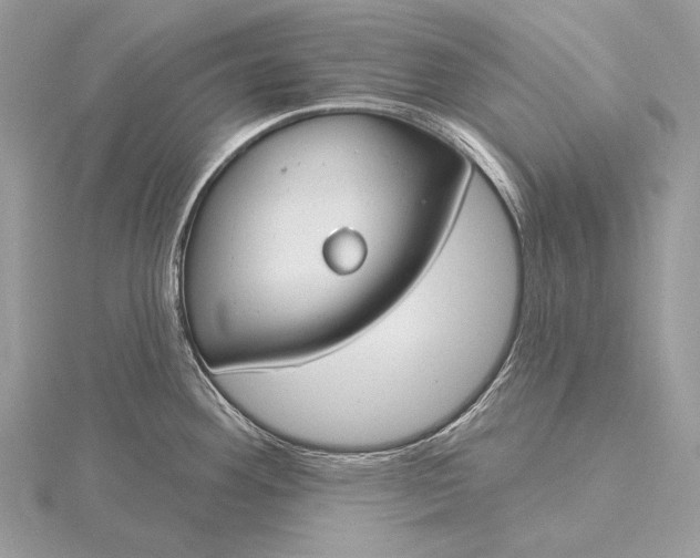 X0000115831292200912041640