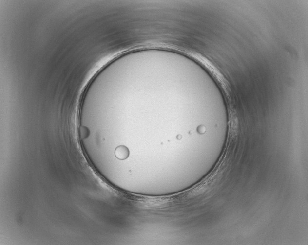 X0000115831294200912041640