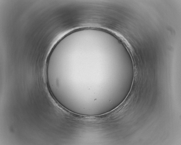 X0000115831295200912041640