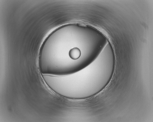 X0000115831296200912041640