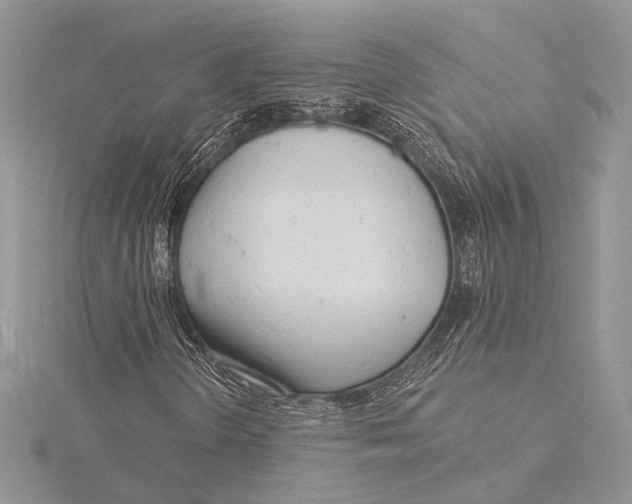 X0000115831298200912041639