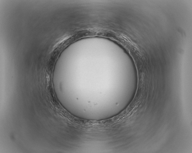 X0000115831302200912041639