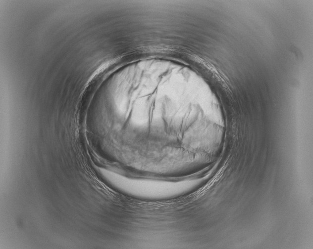 X0000115831306200912041639