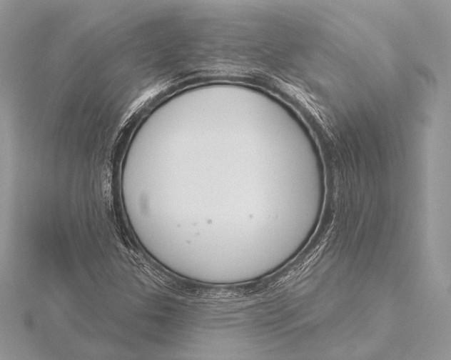 X0000115831307200912041639