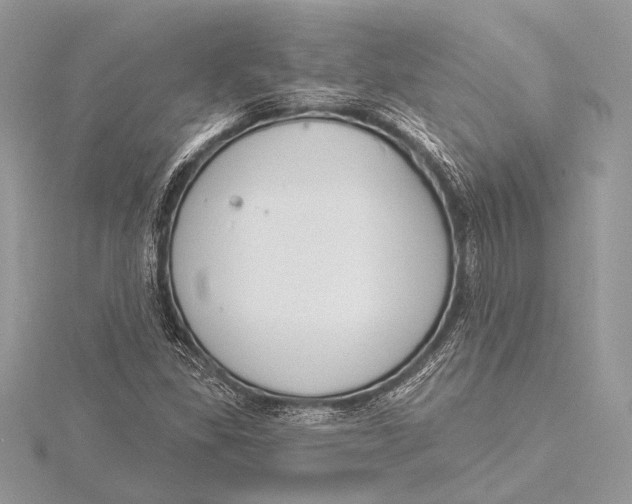 X0000115831309200912041639