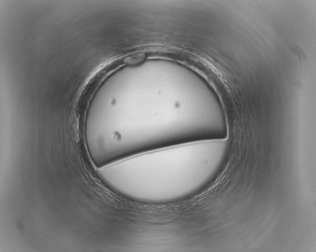 X0000115831310200912041639