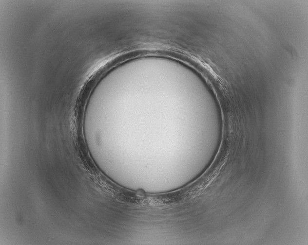 X0000115831311200912041639