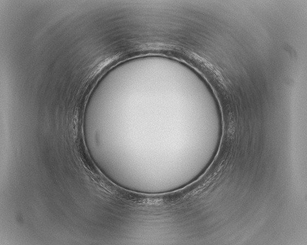 X0000115831313200912041639