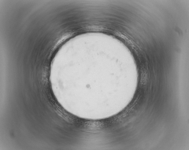 X0000115831314200912041639