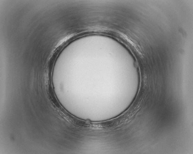 X0000115831315200912041639