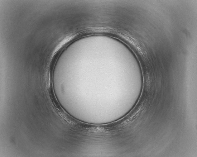 X0000115831317200912041639