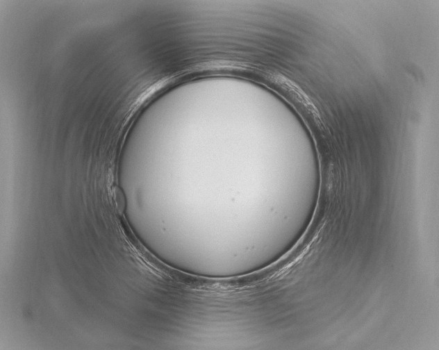 X0000115831321200912041639