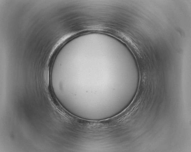 X0000115831323200912041639