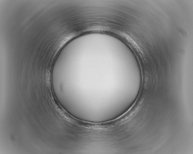 X0000115831329200912041640