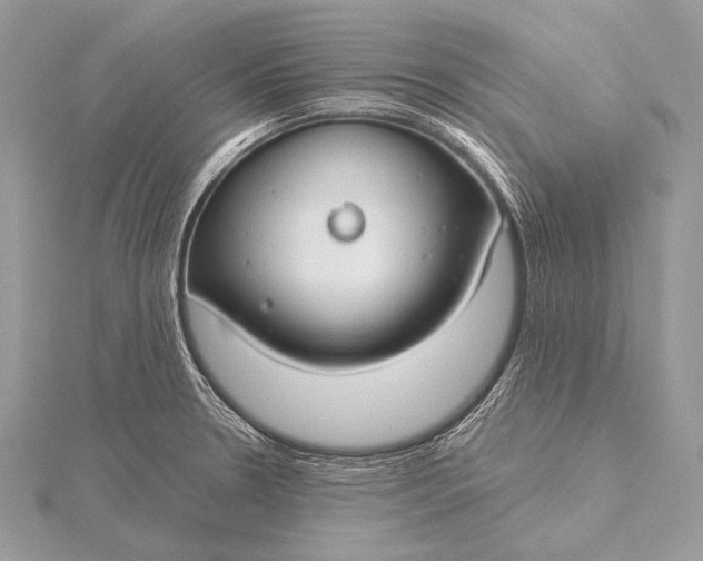 X0000115831330200912041640