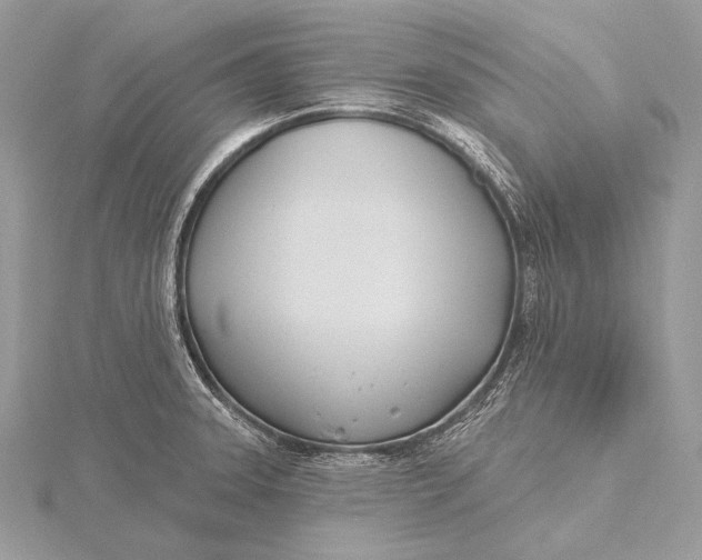 X0000115831331200912041640