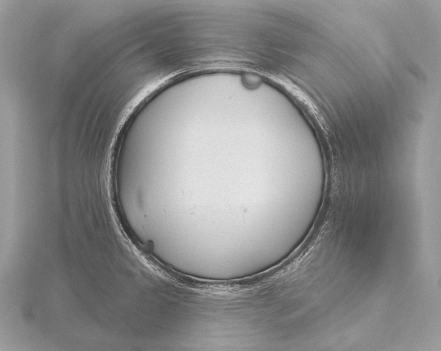 X0000115831333200912041640