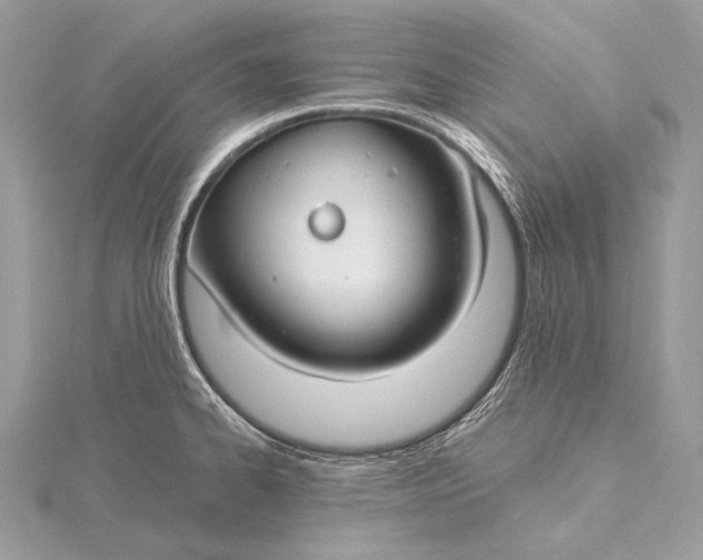 X0000115831334200912041640