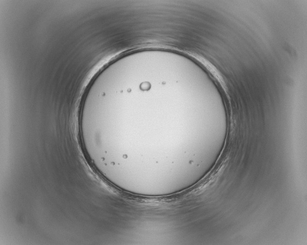 X0000115831341200912041640