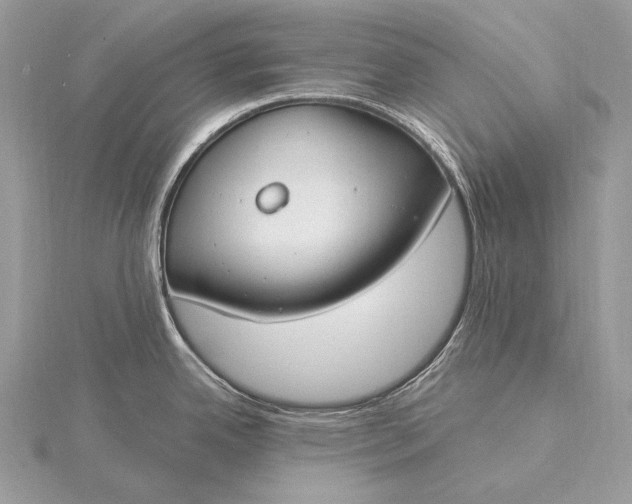 X0000115831342200912041640