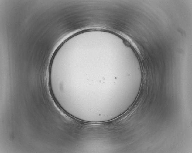 X0000115831343200912041640